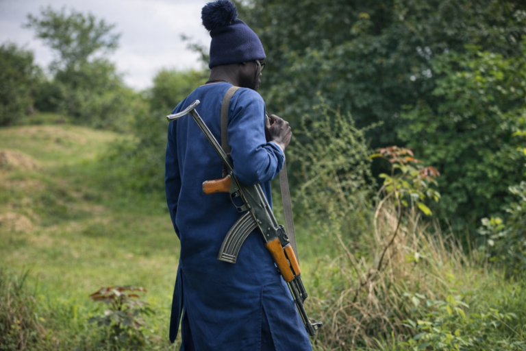 A Kidnap Story: Into the Forest